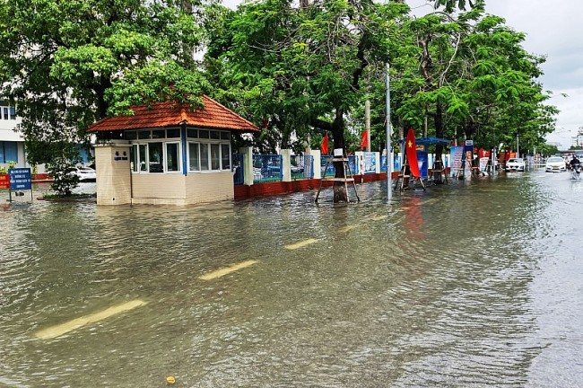 Hải Phòng: Nhiều tuyến đường ngập lụt, cây xanh gẫy đổ do mưa lớn kéo dài