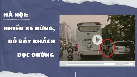 Hà Nội: Nhiều xe dừng, đỗ bắt khách dọc đường