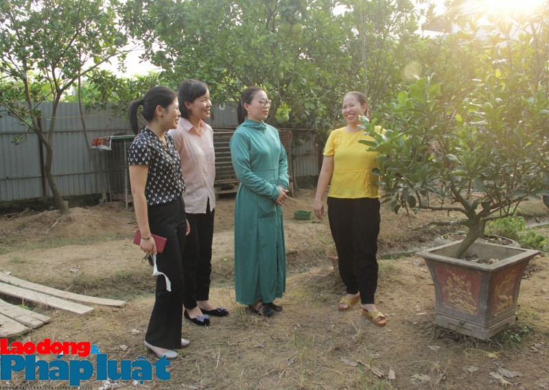 Giải ngân trên 2,3 tỷ đồng cho đoàn viên huyện Mê Linh vay phát triển kinh tế gia đình