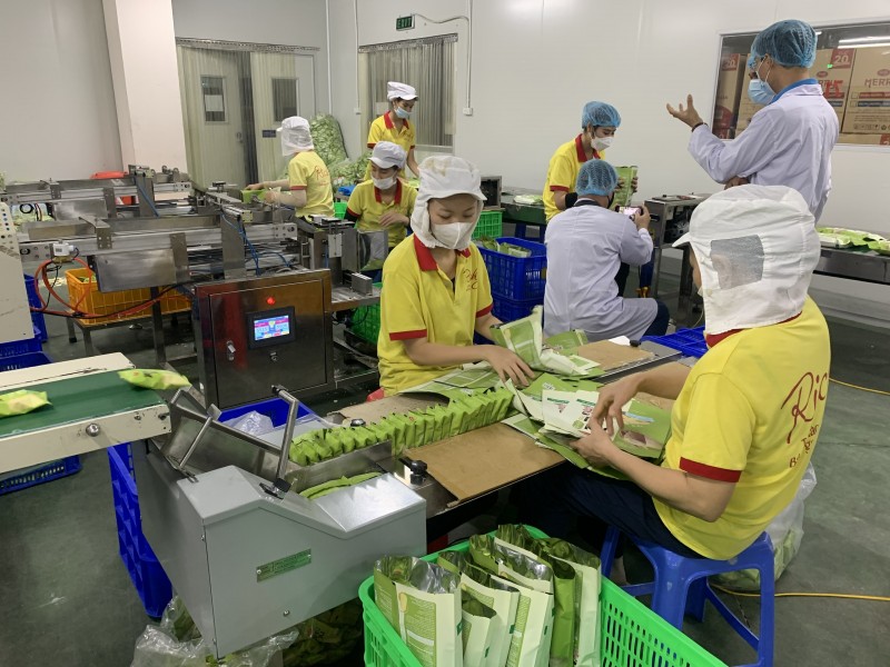 Đề xuất mới liên quan trợ cấp thất nghiệp