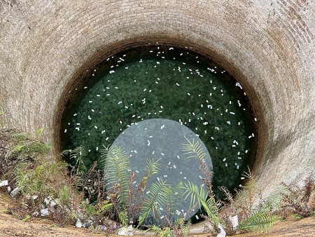 Giếng nước ở chùa Tam Chúc "ngập" tiền lẻ