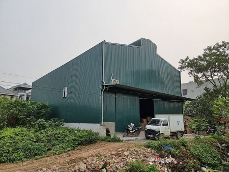 Chủ tịch UBND xã Cự Khê "tạo điều kiện" cho người dân vi phạm