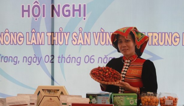 Xúc tiến tiêu thụ nông lâm thủy sản 7 địa phương vùng Nam Trung Bộ