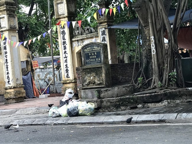 Những gốc cây xanh thành nơi...tập kết rác