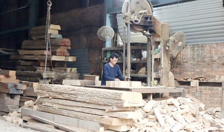 Nỗ lực xây dựng nông thôn mới kiểu mẫu
