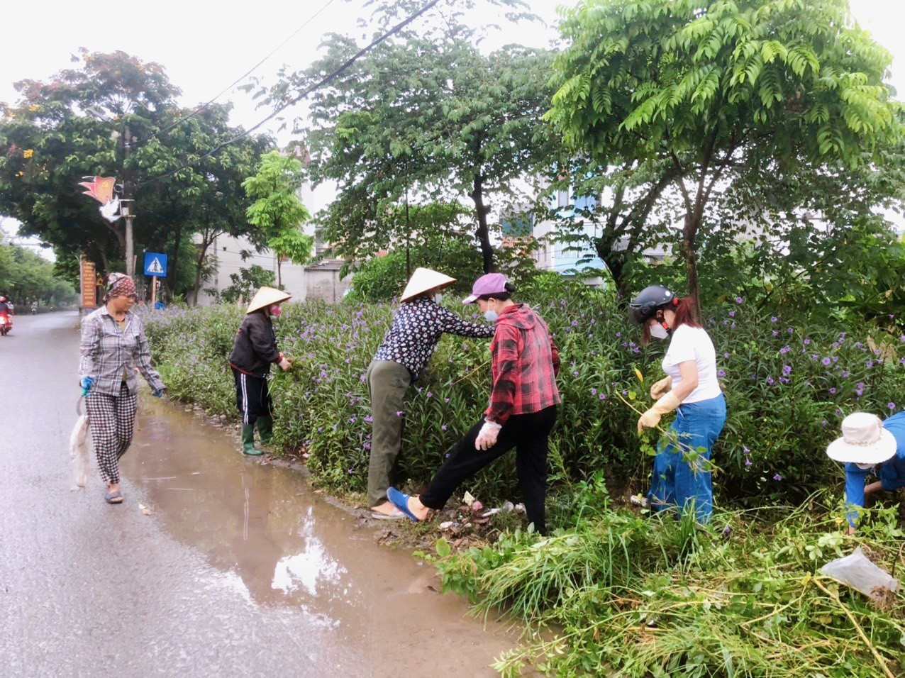Huyện Thanh Trì từng bước ngăn chặn và đẩy lùi dịch sốt xuất huyết