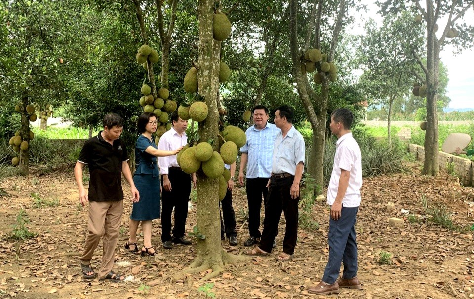 Ngỡ ngàng trước sức sáng tạo của nghệ nhân tại Hội thi mít Hà Nội năm 2024