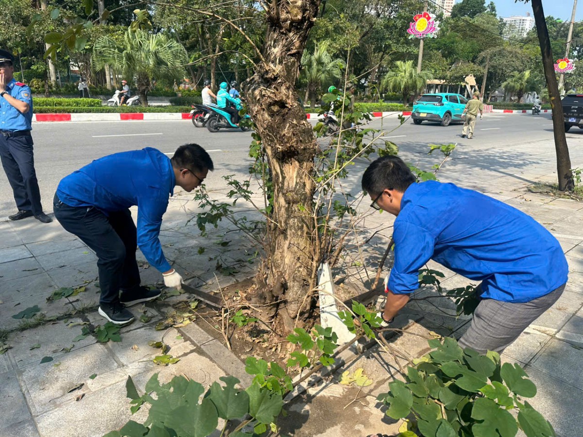 Thanh tra Sở GTVT Hà Nội dọn vệ sinh môi trường, khắc phục hậu quả bão số 3