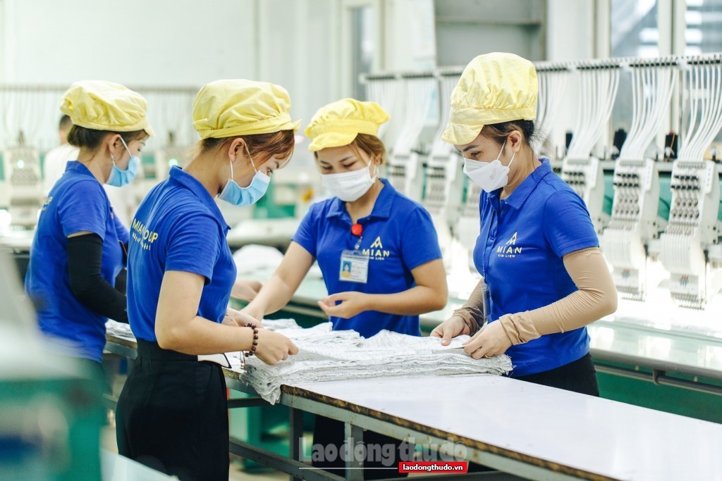 Cú hích lớn cho kinh tế tư nhân với loạt hỗ trợ tài chính, thuế và ưu đãi đấu thầu