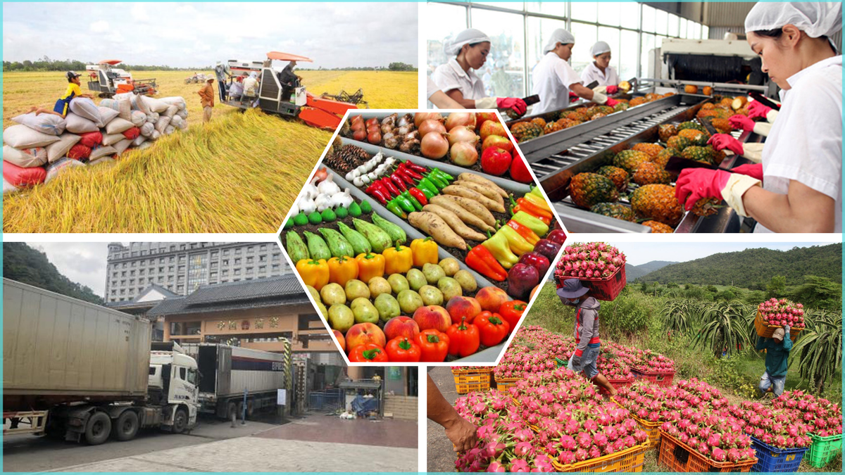 5 tháng đầu năm 2025: Việt Nam thu về hơn 28 tỷ USD từ xuất khẩu nông, lâm, thủy sản