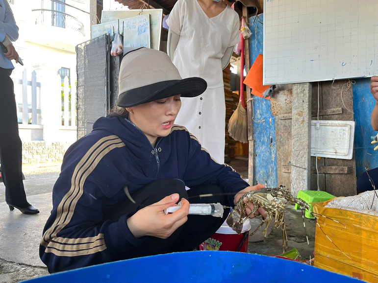 Phát hiện cơ sở bán thủy sản bơm tạp chất vào tôm hùm chết để lừa người tiêu dùng