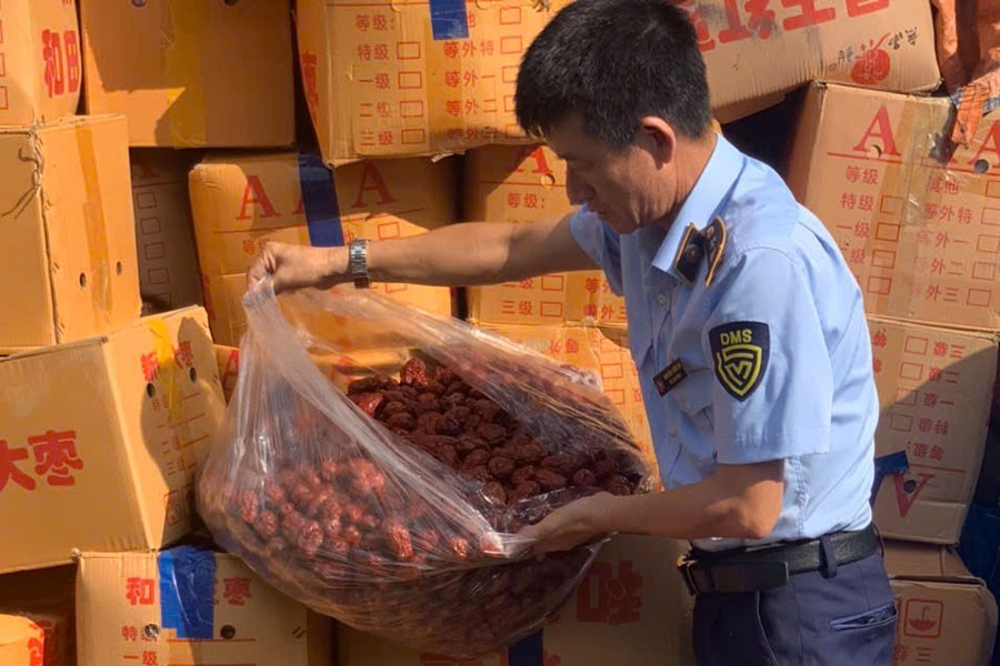 Phát hiện hơn 4 tấn táo đỏ khô nhập lậu không rõ nguồn gốc