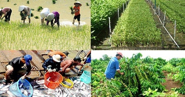 Từ 1/7: Nâng mức cho vay không cần tài sản bảo đảm đối với hộ kinh doanh, cá nhân