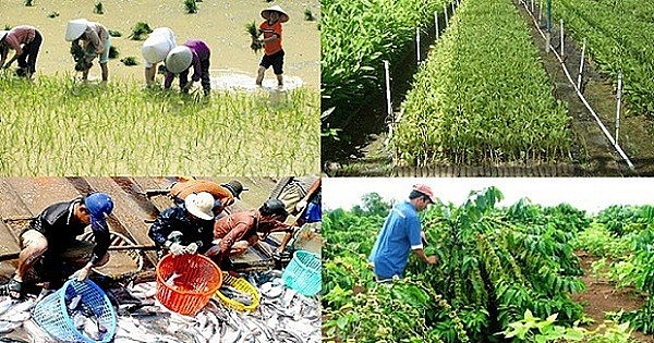 Từ 1/7: Nâng mức cho vay không cần tài sản bảo đảm đối với hộ kinh doanh, cá nhân