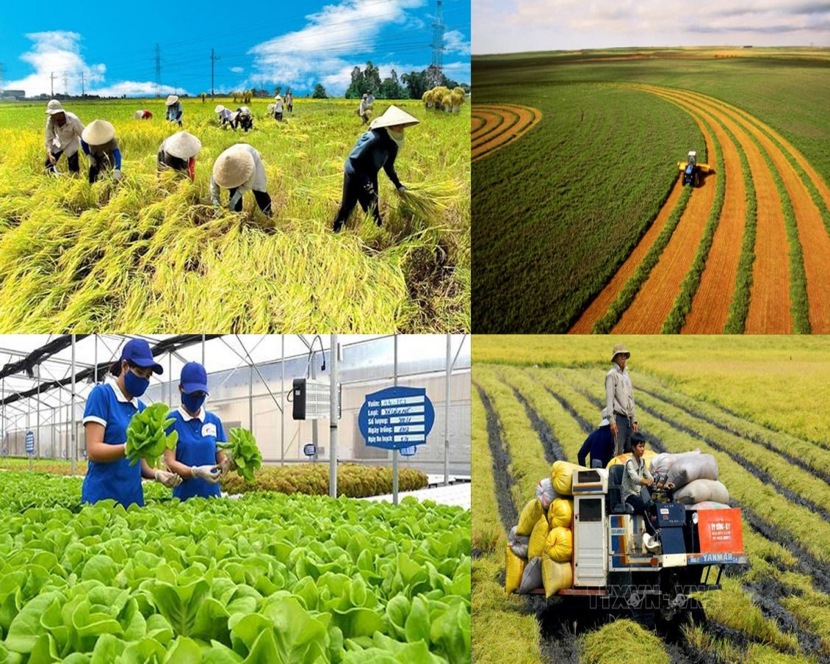 Trong tháng 7/2025, tiến hành tổng điều tra nông thôn, nông nghiệp
