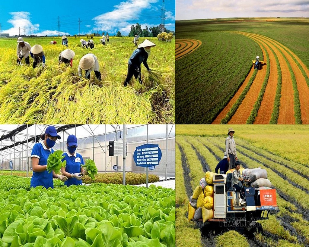 Trong tháng 7/2025, tiến hành tổng điều tra nông thôn, nông nghiệp