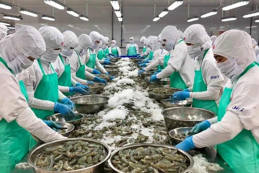 Xuất khẩu thủy sản: Cần tăng tốc để đạt mục tiêu 5,4 tỷ USD trong 6 tháng cuối năm