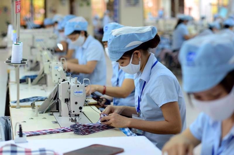 Luật Việc làm 2025: Bước ngoặt số hóa thị trường lao động Việt Nam