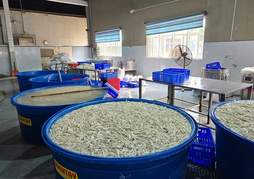 Phát hiện 13 tấn chân gà đông lạnh ngâm hóa chất H2O2