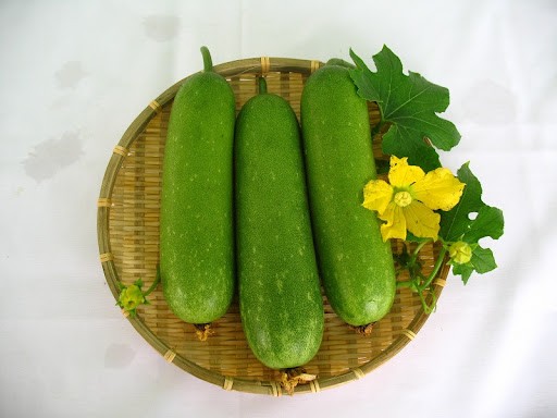 Quả bầu - Giúp thanh nhiệt, giảm cân và chăm sóc sức khỏe toàn diện