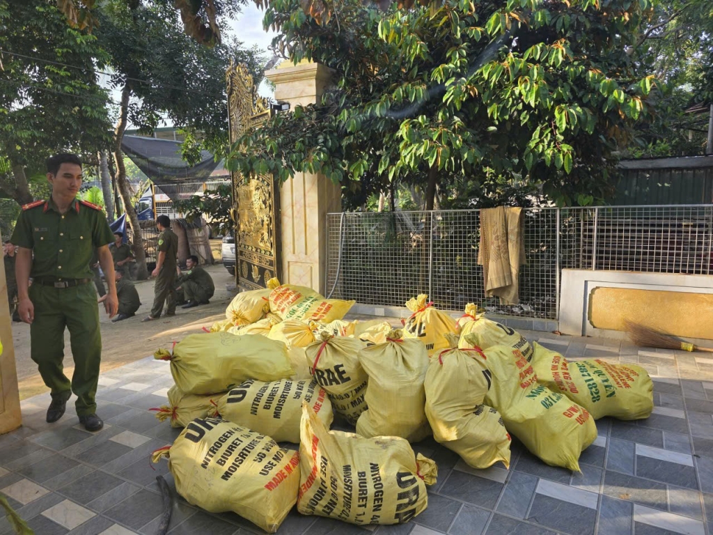 Thanh Hóa tạm giữ hình sự 4 đối tượng gom bán thịt lợn bị dịch tả