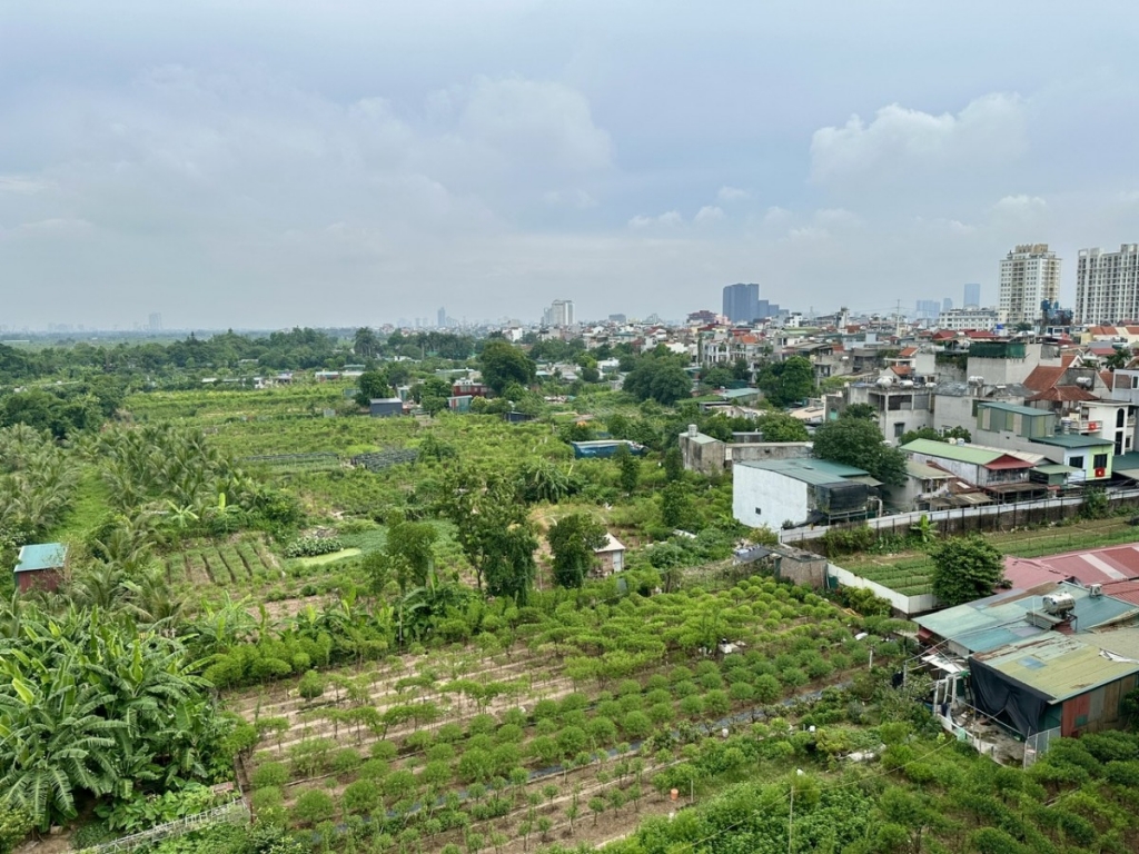 Khai thác hiệu quả đất bãi ven sông: Từ nghị quyết đến thực tiễn địa phương