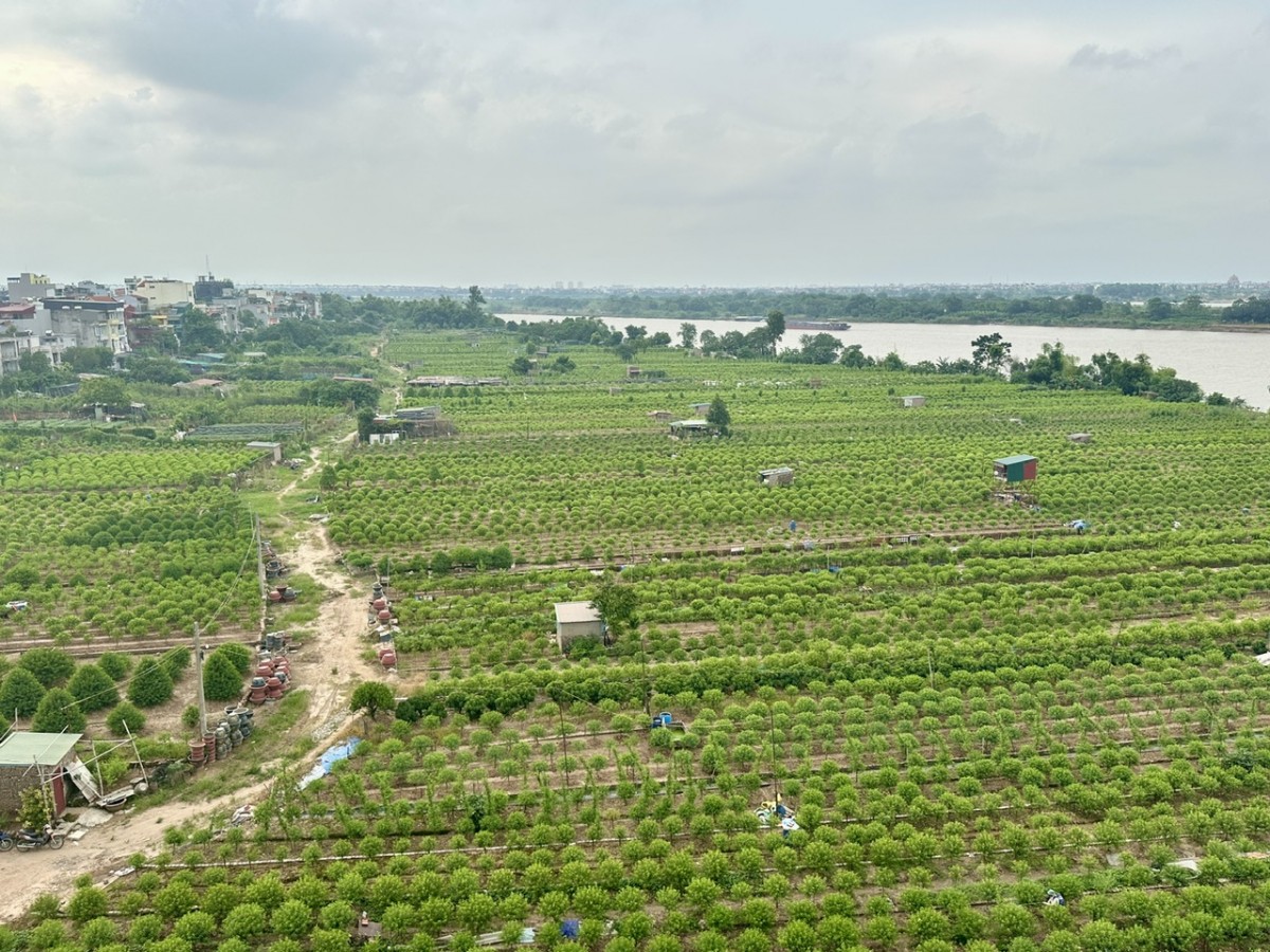 Khai thác hiệu quả đất bãi ven sông: Từ nghị quyết đến thực tiễn địa phương