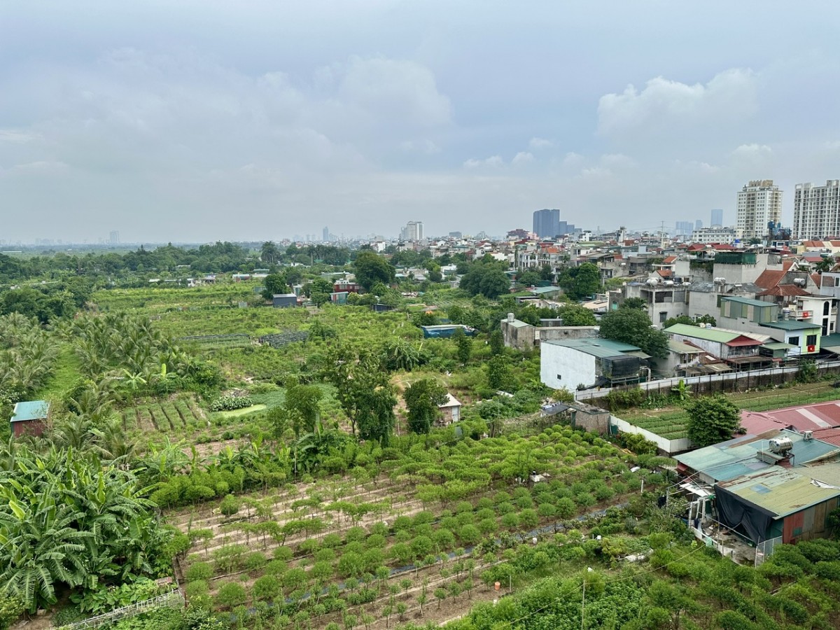 Khai thác hiệu quả đất bãi ven sông: Từ nghị quyết đến thực tiễn địa phương