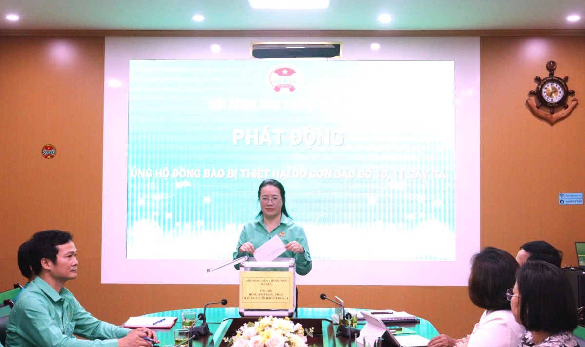 Tạo khí thế mới hướng tới Đại hội Hội Nông dân Thành phố lần thứ XI