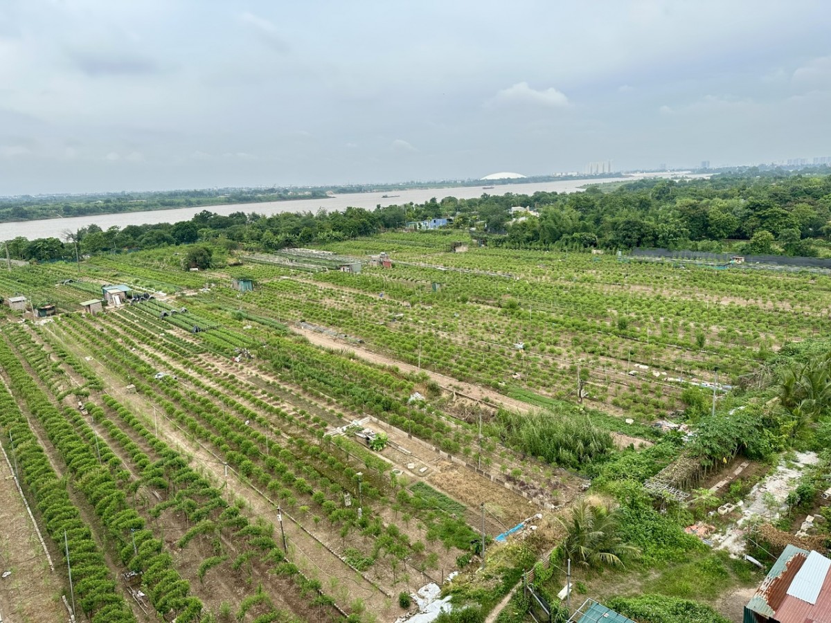 Sông Hồng trục trung tâm, động lực phát triển chiến lược mới của Thủ đô