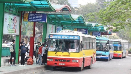 Hà Nội: Mở rộng vùng phục vụ xe buýt về Thường Tín, Gia Lâm và Đại học Quốc gia tại Hòa Lạc