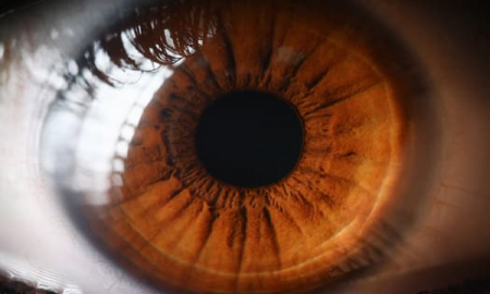 Nghiên cứu: Khám mắt có thể dự đoán nguy cơ đau tim