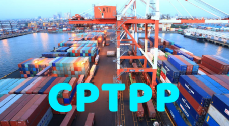 Thuế xuất khẩu ưu đãi thực hiện Hiệp định CPTPP từ 8,3%-3,6%