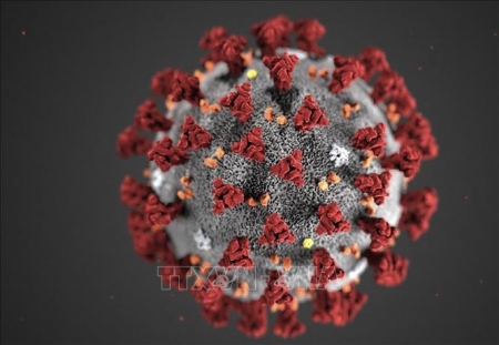 Giải pháp mới giúp điều trị hiệu quả các biến thể của virus SARS-CoV-2