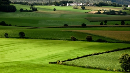 Mở rộng hạn mức nhận chuyển nhượng quyền sử dụng đất nông nghiệp
